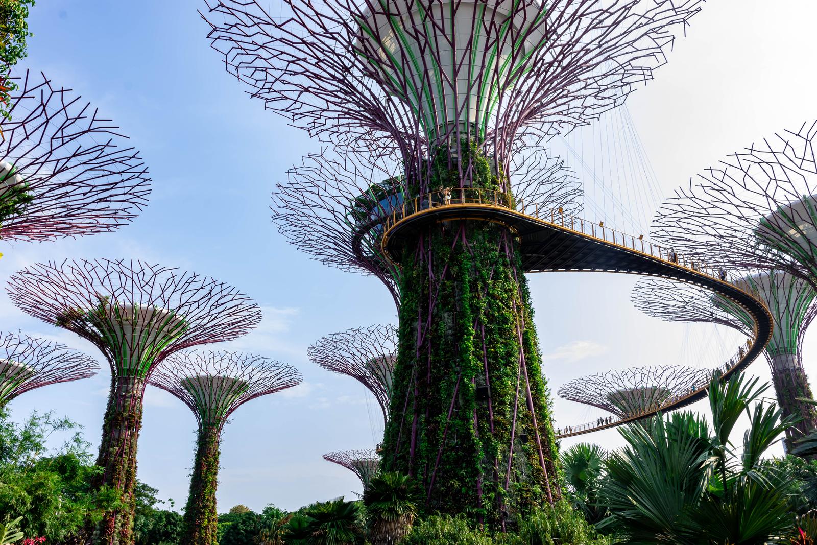 Największa atrakcja Singapuru - Gardens by the bay